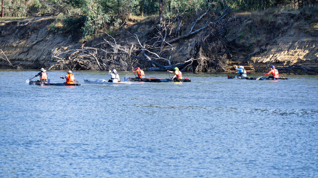 Massive Murray Paddle group in mid race in the wide Murray River