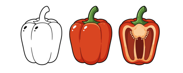 Three vibrant red bell peppers vector illustration set showing outline full and cross-section views on white background