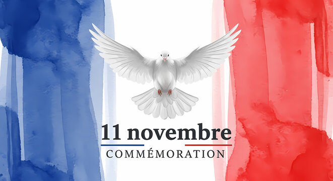 Colombe de la paix 11 novembre
