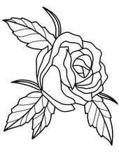 rose on a white background