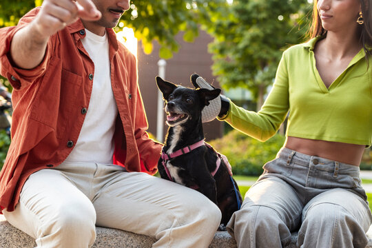 Couple sharing care as responsible pet ownership