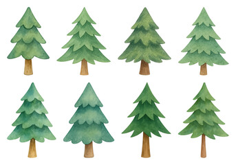 Obraz premium PNG Watercolor evergreen tree illustrations, element set on transparent background