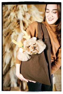 Film Christmas photo of happy woman with brown poodle dog in a bag