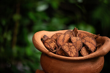 Phanera sirindhorniae dried slices on natural background.