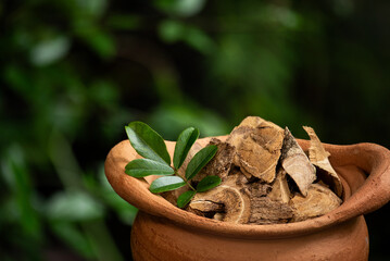 Derris scandens and branch green leaves on natural background.