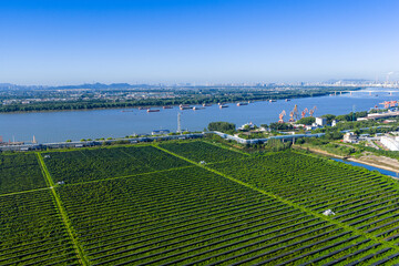 Solar Panel Farm and Yangtze River Shipping Aerial View