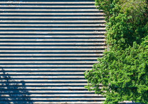 Concrete Steps With Light And Shadow Patterns From Trees