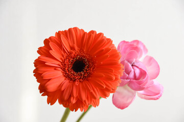 ガーベラとラナンキュラス