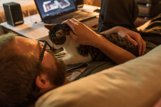 Man Lying on Couch with Cat and Laptop Nearby