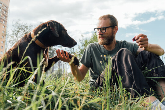 Man Playing with Dog in Tall Grass
