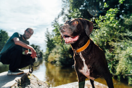 Dog standing near river with man in background

