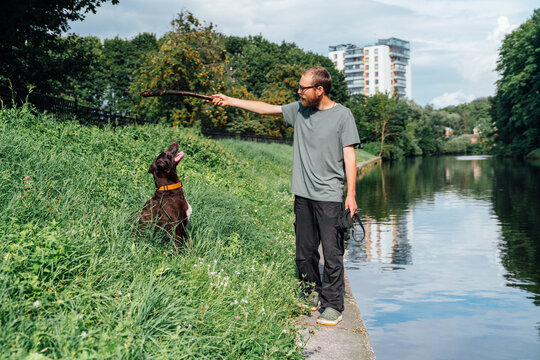 Man training German Shorthaired Pointer with stick by river