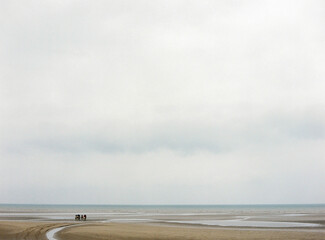 Group of people riding horses on the beach