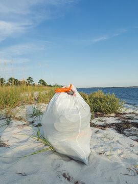 Beach Trash Clean Up