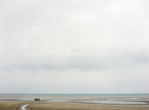 Group of people riding horses on the beach