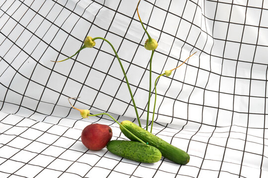 Fresh Vegetables on a Grid-Patterned Tablecloth. Natural Still life