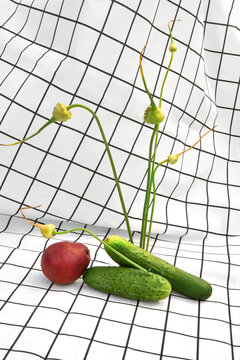 Fresh Vegetables on a Grid-Patterned Tablecloth. Natural Still life