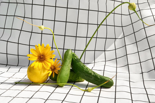 Still life of Fruits, Veggies and Flowers on Grid-Patterned Tablecloth