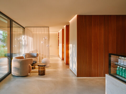 Sun-Drenched Lounge With Armchairs