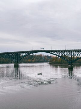 Dragon Boat Team Paddling Under Bridge on Calm River