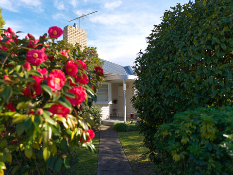 Charming Garden Pathway Leading to a Classic Australian Home