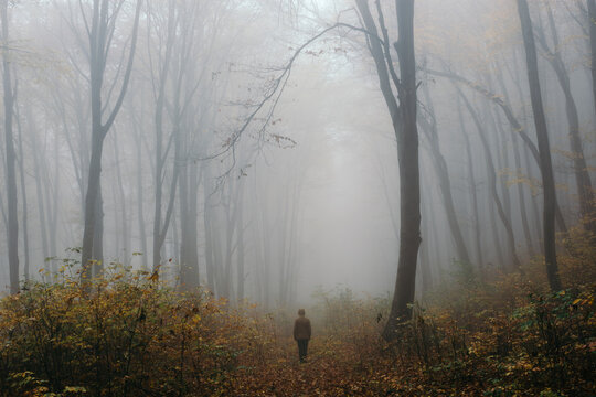 Man in foggy forest in autumn