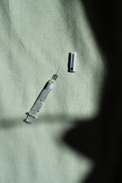 Needle on Sage Bed
