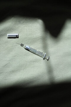 Needle on Sage Bed