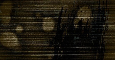 Dark smudge distorting gold noise lines and circular artifacts on corrupted display, with code text