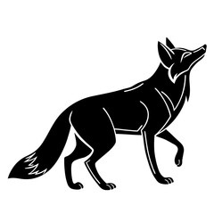 A black image