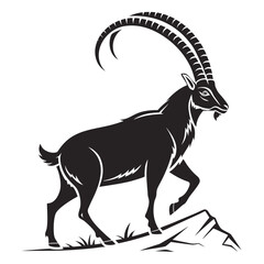 Majestic ibex silhouette standing on rocky terrain