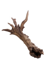 Intricate wooden branch with gnarled texture on transparent background