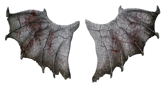 Pair of symmetrical bat wings with reddish veins on transparent background