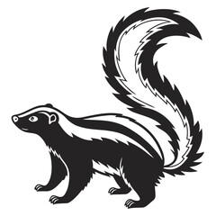 Stylized black and white skunk illustration
