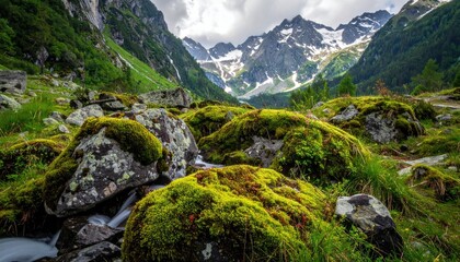 Obraz premium Dramatic Mountain Landscape View with Mossy Rocks and Foggy Peak in Daylight, Clear Water Flow, Green Trees, Cloudy Sky in Background