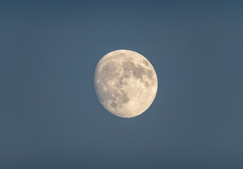 Moon in Waxing Gibbous Phase Above Blue Sky - A Lunar Glow in the Sunlit Sky