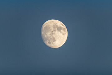 Waxing Gibbous Moon Against Blue Sky - The Moon&rsquo;s Gentle Rise in Daylight