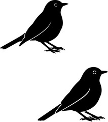  Pair of American robin Silhouette