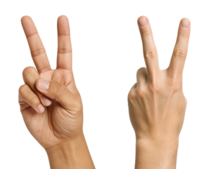 Set of two male hands showing the V sign for victory or peace, front and back view, Isolated on Transparent and White Background