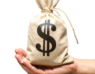 - Hand Raising Money Bag with Dollar Symbol