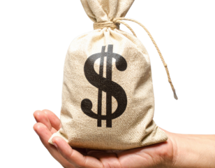 - Hand Raising Money Bag with Dollar Symbol