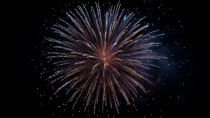 Vibrant firework explodes in night sky, creating dazzling display of light and color. intricate patterns and bright sparks captivate viewer attention