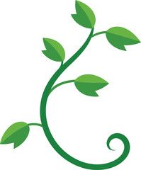 Minimalist Green Plant Vine with Leaves and Curled Tendril Vector