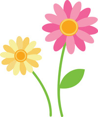 Cute Pink and Yellow Daisy Flowers Vector Illustration