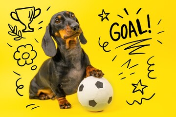 A lively dachshund poses with a soccer ball against a bright yellow backdrop, surrounded by hand-drawn doodles, creating a fun and energetic scene and the word "GOAL"
