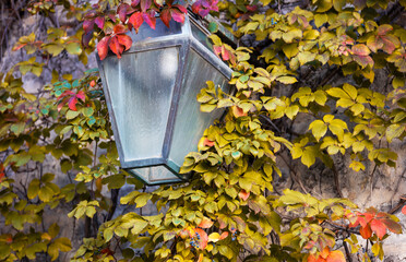 Lantern encased in colorful autumn leaves against a rustic stone wall, capturing the essence of the fall season with vibrant reds and yellows.