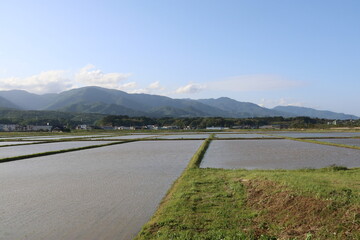 春の佐渡島。田園風景。