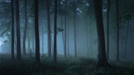 Obraz premium Enchanting foggy forest with cool hues perfect for fantasy storytelling