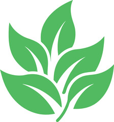 Stylized Green Leaves Design, Organic Nature Icon, Eco Friendly Plant Graphic
