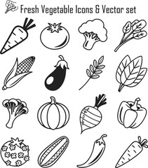 Fresh Vegetable Icons & Vector Set